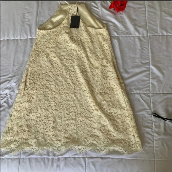 NBD Revolve Bria lace dress in ivory - Picture 6 of 8